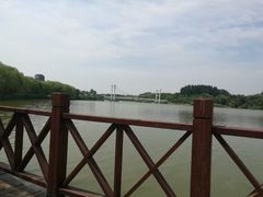 -塘沽森林公园