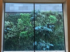 -旧金山现代艺术博物馆