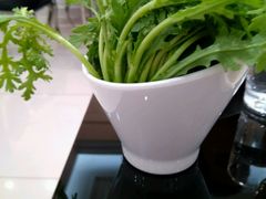 -红菇坊鲜汤火锅(北站店)