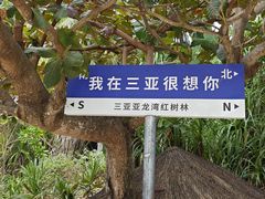 -三亚亚龙湾红树林度假酒店