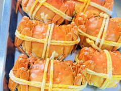 -乡乐园蟹庄·阳澄湖农家乐