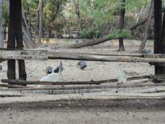 -秦皇岛野生动物园