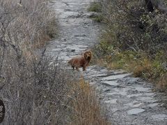 -阳台山自然风景区