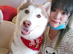 小漂亮-Husky Go! 哈士奇体验馆·宠物咖啡厅狗咖