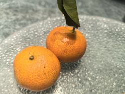 -稻香酒家-宴会厅·BB宴·年会·喜宴(天河领展店)