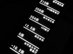 景观位-339旋转餐厅(天府熊猫塔店)