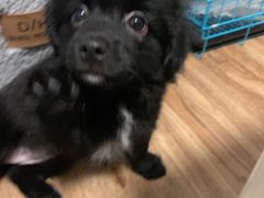 -柯达靓之彩影像网络(明瓦廊店)