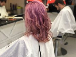 -SALON V