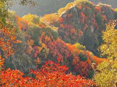 -秦岭终南山世界地质公园翠华山景区