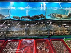 -望海潮海鲜店 特色家常菜(在海一方店)