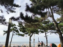 -威海国际海水浴场旅游区