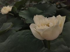 -嘉模圣母教堂
