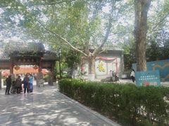 -大槐树寻根祭祖园