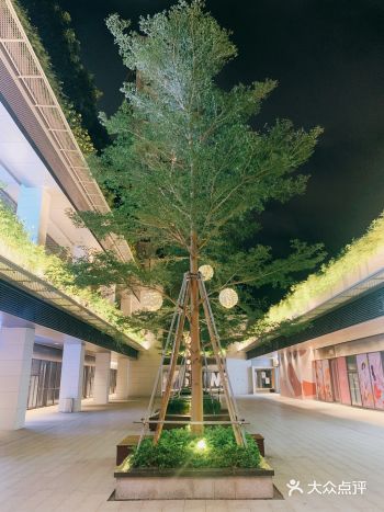 OCT Park 的欢快时光