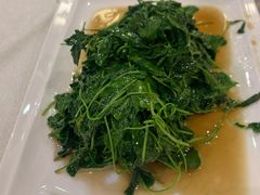 生煸草头-梅龙镇酒家(南京西路总店)