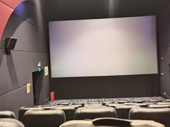 -中影国际影城(大唐西市4K临境音店)