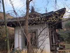 -径山寺