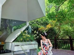 -白马涧龙池景区