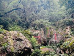 -青芝山风景名胜区