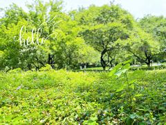 -杭州植物园