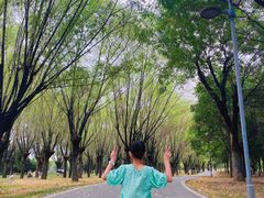 -洨河生态公园