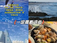 -日照海滨国家森林公园