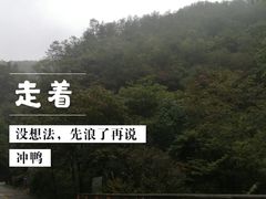 -秦岭风景区