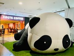 -COSTA COFFEE(西直门店)