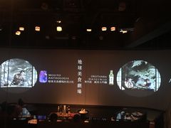 大堂-地球美食剧场