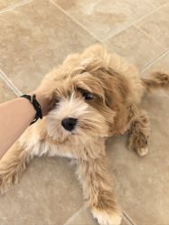 -WAVE SODA摄影工作室