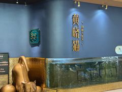 -黄晓猫剁椒大鱼头(海岸城店)