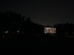 -枫花园汽车电影院(朝阳公园店)