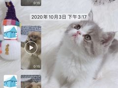 -宠物之家Pets Home 宠物寄养酒店