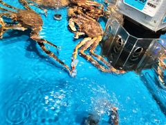 -大润发(康桥店)