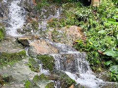 -广州市白云山风景名胜区