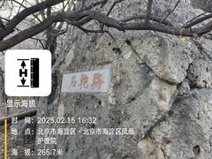 -阳台山自然风景区