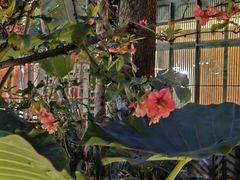 -大妙火锅·非物质文化遗产(东湖公园店)