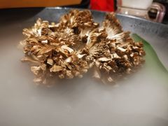 -煲宫猪肚鸡(晶品店)