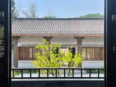 -黄金寨原生态旅游区