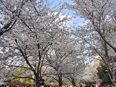 -堤角公园