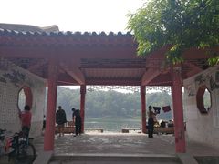-紫霞湖公园