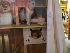 -闽江夜游台江旅游码头