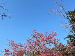 -风云岭森林公园