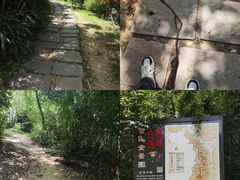 -宝界山林公园