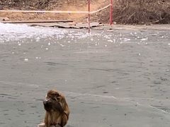 -山西通天峡景区