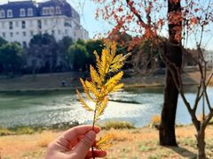 -张之洞与武汉博物馆