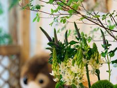 躲猫猫的萌宠-GOELIA歌莉娅(北京路225店)