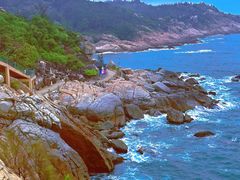 -广东惠东海龟国家级自然保护区