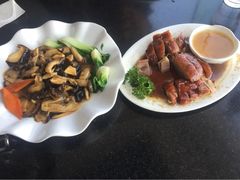 -云中小雅