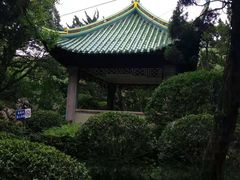 -叶家花园